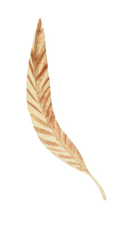 Watercolor autumn leaf. Decorative element on a white background for stylish design compositions. Create your own print pattern.の写真素材