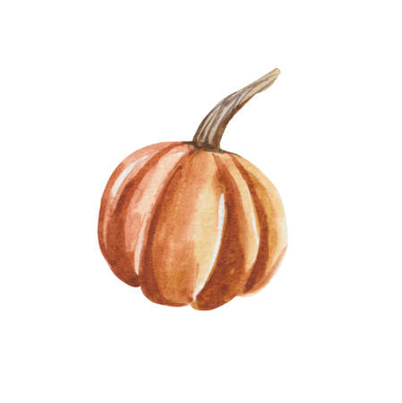 Cute watercolor ripe pumpkin for harvest day, fair day or halloween. For product design with bright autumnal illustrations. Object on a white background will be a great addition to the compositionの写真素材