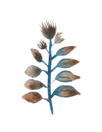 Watercolor dried flowers in the style of primitivism. Decorative autumn flower for a variety of stylish design compositions.の写真素材