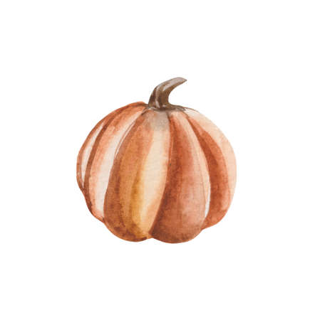 Cute watercolor ripe pumpkin for harvest day, fair day or halloween. For product design with bright autumnal illustrations. Object on a white background will be a great addition to the compositionの写真素材