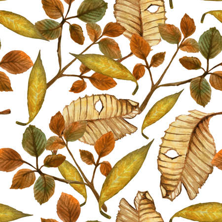 Watercolor seamless pattern on autumn theme on a white background. The pattern includes yellowed foliage on the branches and fallen leaves.の写真素材