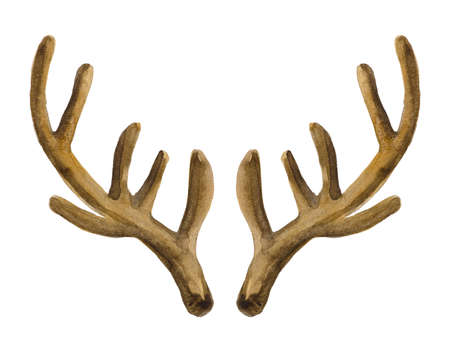 Watercolor deer horns - a decorative element for composite solutions of any subject. They are able to bring a cheerful accent to your image.の写真素材