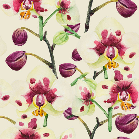 A seamless pattern is made in watercolor in good resolution. The composition consists of the inflorescence of phalaenopsis orchids.の写真素材