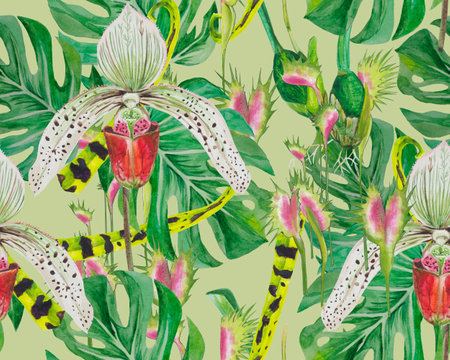 Pattern leaves of monsters and orchids. Background - greenの写真素材