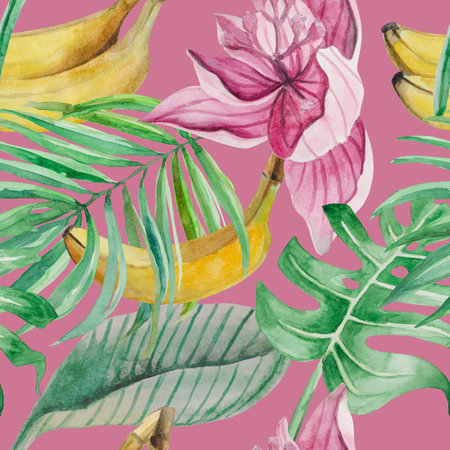 Watercolor seamless pattern of detailed palm leaves, monstera, banana fruit, leaves of Medinilla and a flower on a pink backgroundcの写真素材