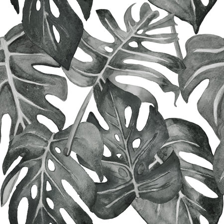 Monstera patternの写真素材