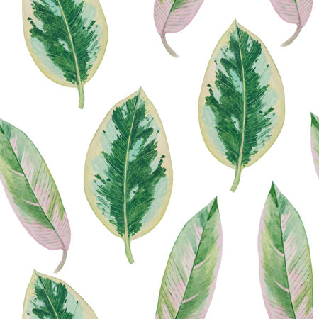 Watercolor seamless pattern of detailed huge ficus leaves on a white backgroundの写真素材