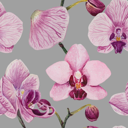 A seamless pattern is made in watercolor in good resolution. The composition consists of the inflorescence of phalaenopsis orchids.の写真素材
