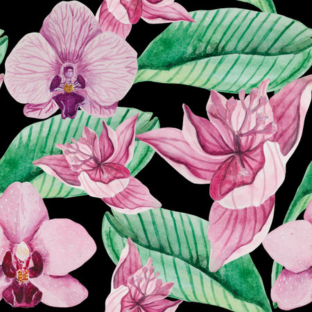 Watercolor seamless pattern of blooming pink orchid flowers. Leaf of Medinilla and flower in good detail on a white background.の写真素材