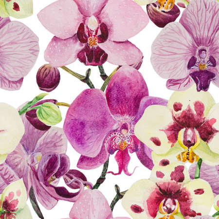 A seamless pattern is made in watercolor in good resolution. The composition consists of the inflorescence of phalaenopsis orchids.の写真素材
