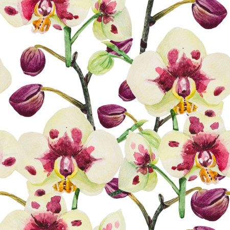 A seamless pattern is made in watercolor in good resolution. The composition consists of the inflorescence of phalaenopsis orchids.の写真素材