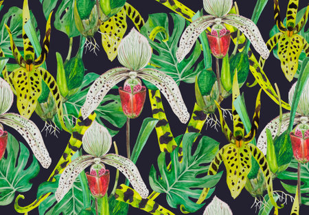Pattern leaves of monsters and orchids. Background - blackの写真素材