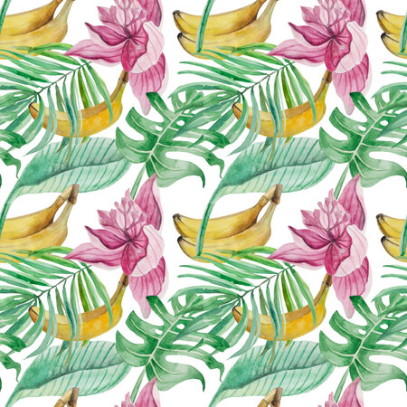 Watercolor seamless pattern of detailed palm leaves, monstera, banana fruit, leaves of Medinilla and a flower on a white backgroundの写真素材
