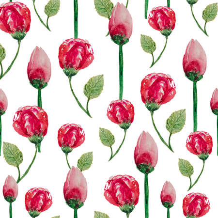 Watercolor seamless pattern of flowers and buds of roses on stems with leaves, white backgroundの写真素材