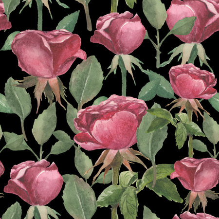 Watercolor pattern of roses and stems with leaves on a black backgroundの写真素材