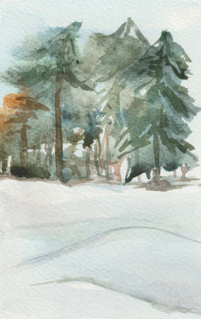 The winter forest, beautiful trees and drifts of snow are ideal for backgrounds on cards and other printed materials with a New Year and Christmas theme.の写真素材