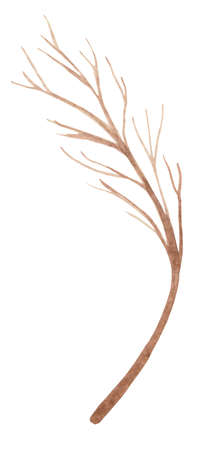 Decorative branch on a white background. Ideal decor for winter holidays.の写真素材