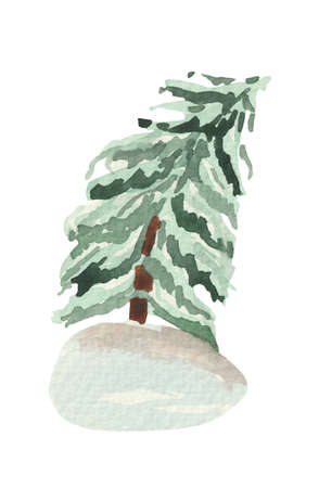 Watercolor Christmas tree in a snowdrift - on a white background. As a symbol of the New Yearの写真素材