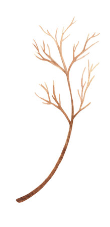 Decorative branch on a white background. Ideal decor for winter holidays.の写真素材