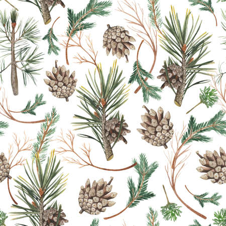 Seamless patterns with the image of spruce branches, and Christmas decor. Hand-drawn watercolor picturesの写真素材