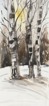 Watercolor winter landscape, three birches in the middle of a snow-covered field against the background of a forest belt.の写真素材