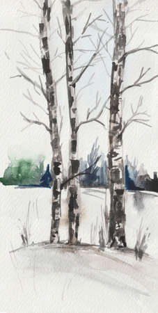 Watercolor winter landscape, three birches in the middle of a snow-covered field against the background of a forest belt.の写真素材