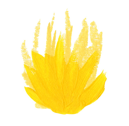Abstract yellow flower. Hand drawn on a white background.の写真素材