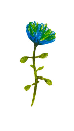 Element on a white background hand-drawn with oil pastels. Abstract blue Freesia.の写真素材