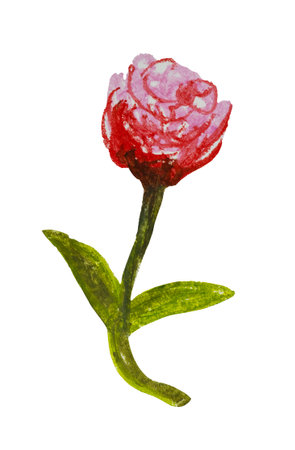 Element on a white background hand-drawn with oil pastels. Abstract red peony.の写真素材