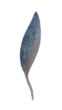 Isolated element on a white background. Hand-drawn dry, autumn fallen leaf. For design on the theme of autumn, thanksgiving, farm fairs, school events, halloweenの写真素材