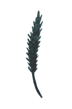 Isolated element on a white background. Hand drawn watercolor dried flower twig. For design on the theme of autumn, thanksgiving, farm fairs, school events, halloweenの写真素材
