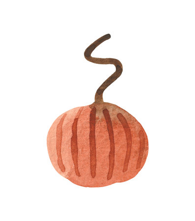 Isolated element on a white background. Hand drawn watercolor pumpkin. For design on the theme of Halloween, Thanksgiving, autumn farm fairsの写真素材