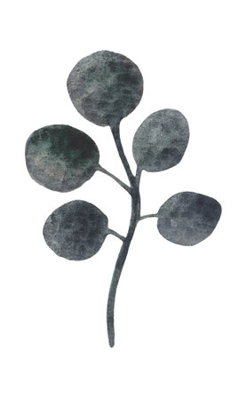 Isolated element on a white background. Hand drawn watercolor stylized dried eucalyptus branch with leaves. For design on the theme of autumn, thanksgiving, farm fairs, school events, halloweenの写真素材
