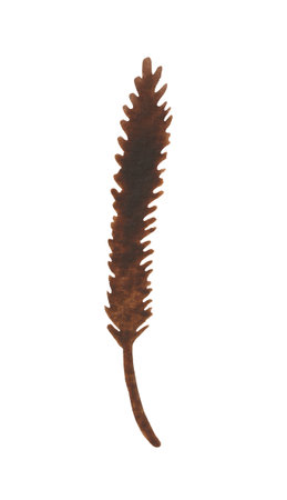Isolated element on a white background. Hand drawn watercolor dried flower twig. For design on the theme of autumn, thanksgiving, farm fairs, school events, halloweenの写真素材