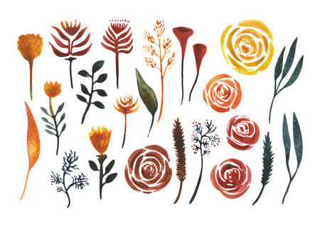Hand drawn watercolor set with autumn leaves, dried flowers, roses. Isolated elements on a white background For design on the theme of Halloween, Thanksgiving, autumn farm fairsの写真素材
