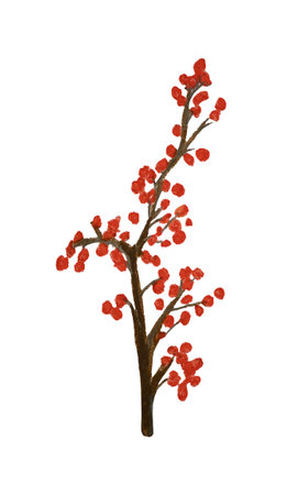 Decor for Christmas and New Year. Branch of viburnum with ripe berries on a white background. Hand drawn with oil pastelsの写真素材