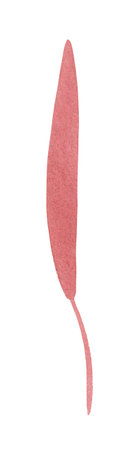 Pink abstract leaf for decoration of festive designの写真素材