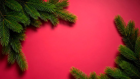 Christmas fir tree branches on red background with copy space. Top viewの素材