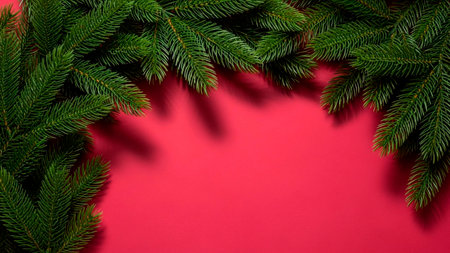 Christmas fir tree branches on red background with copy space. Top viewの素材
