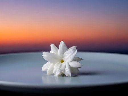 Beautiful white flower on a blue plate with sunset in the backgroundの素材