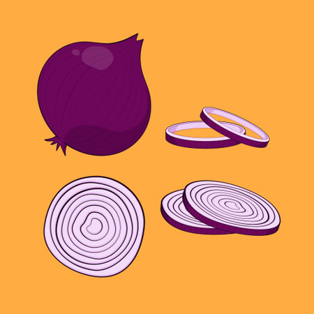 Fresh Onion Half Cut Onion Vector Illustration Icon Onion Ring vegetableのイラスト素材