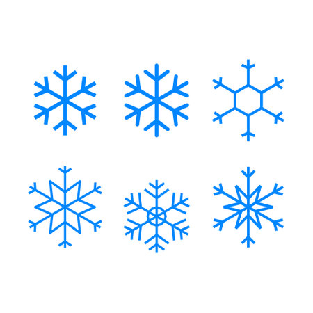 Snowflake Cold Illustration Icon Set Cold Winter Snow Flakes