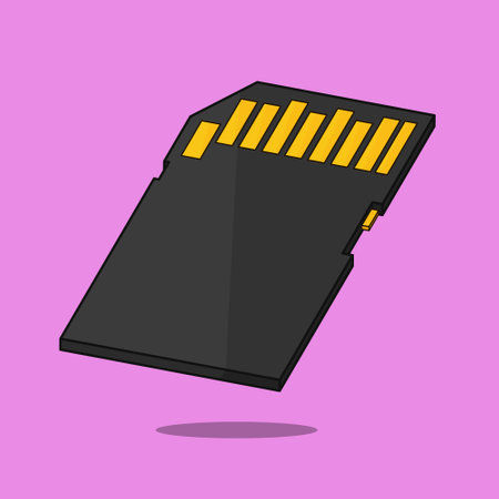 SD card vector memory card vector illustration icon