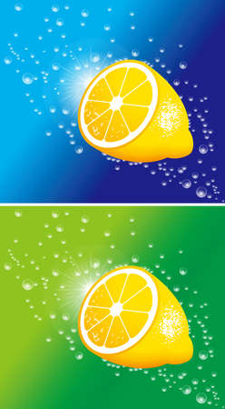 Illustration of lemon. Vector.のイラスト素材