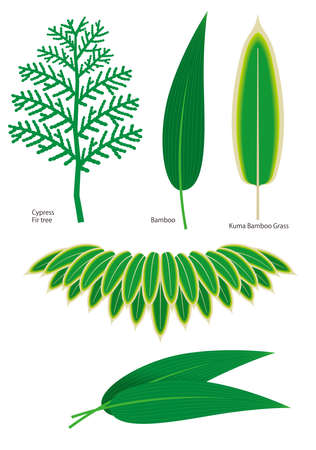 Decorative leaf icon set. Vector.のイラスト素材