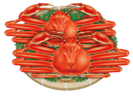 3D illustration of snow crab. White background.の写真素材