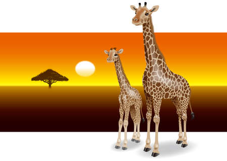 Giraffe parent and child. 3d illustration.の写真素材