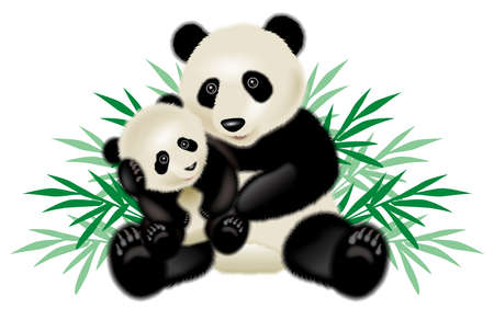 Illustration of parent and child panda. 3D illustration.の写真素材