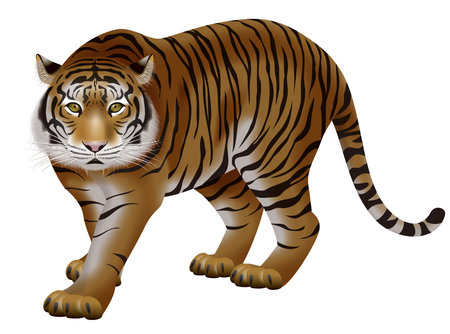 3d illustration of a tiger. Zodiac icon.の写真素材