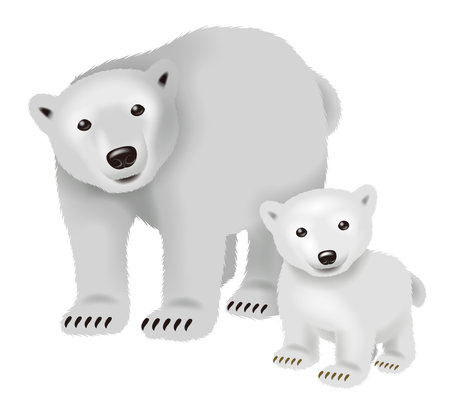 Parent and child polar bear. An illustration.の写真素材